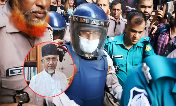 সংযুক্ত ছবি