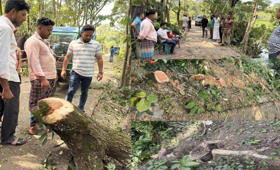 সংযুক্ত ছবি