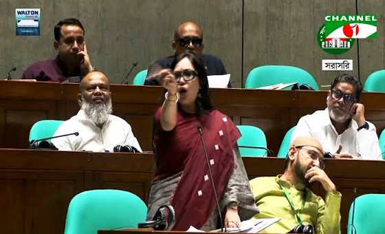 ‘এত অসহিষ্ণু সংসদ, মনে হচ্ছে আওয়ামী লীগের আমলে ফিরে গেছি’: র...