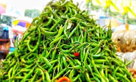রাজধানীতে কাঁচামরিচের ঝাল, কেজি ৪০০ টাকা