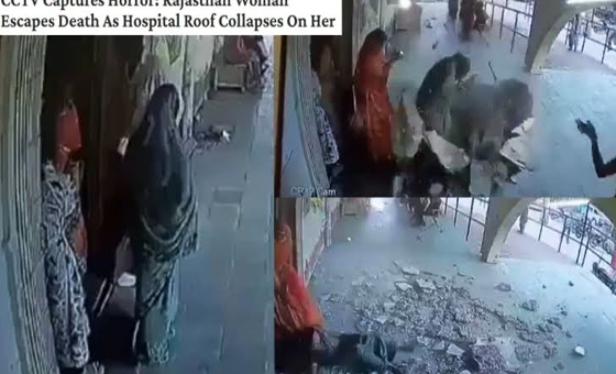 সংযুক্ত ছবি