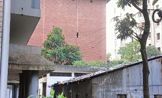 সংযুক্ত ছবি